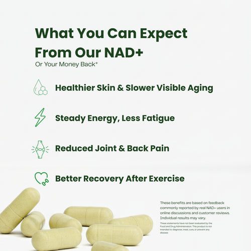 NAD+ Synergy Formula