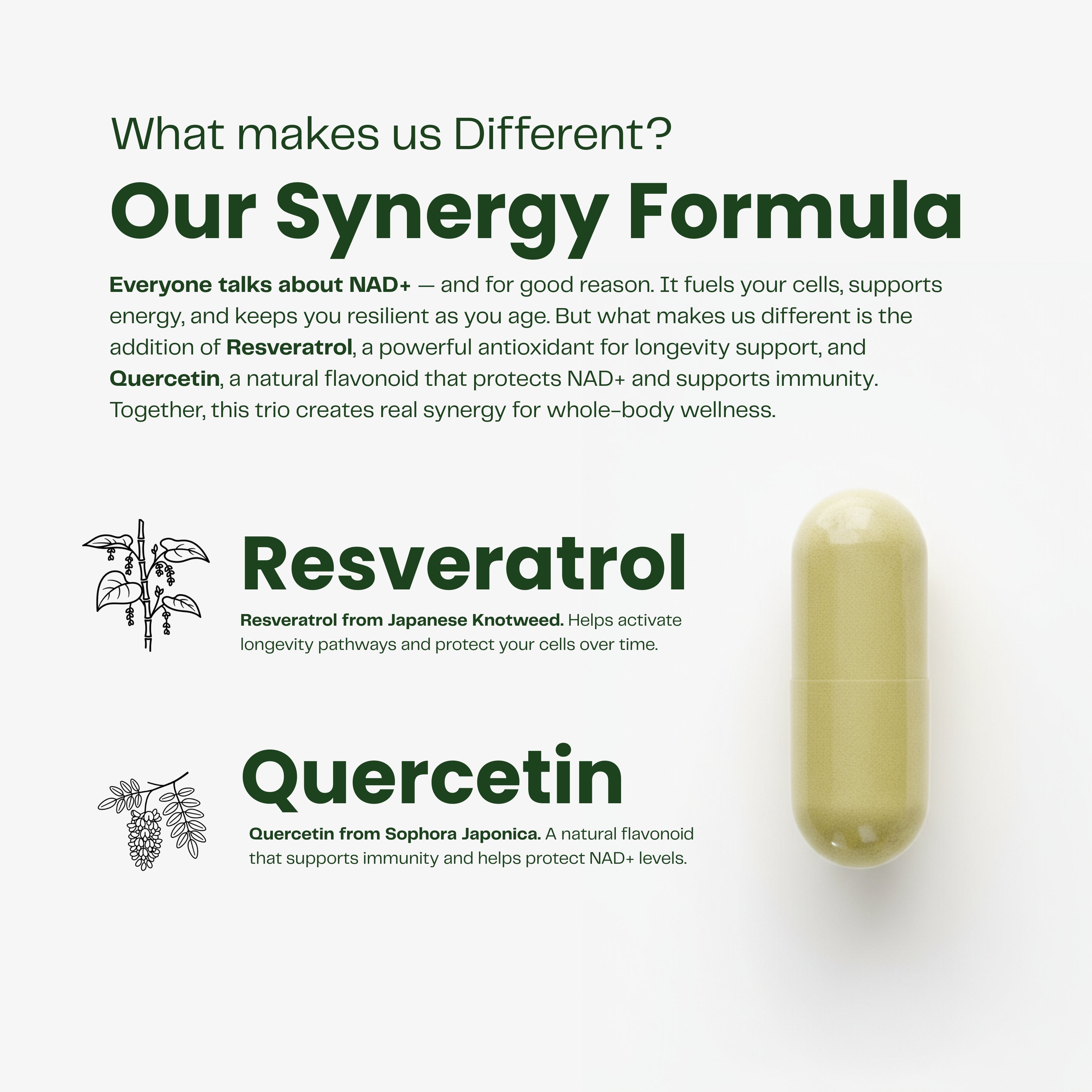 NAD+ Synergy Formula